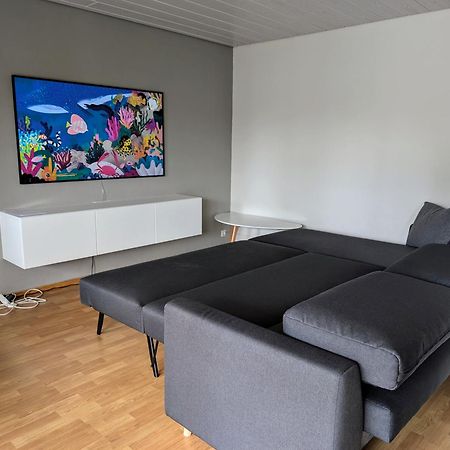 Storchennest - Schoenes, Ruhiges Apartment Mit Sonnenterrasse Tettnang Exterior foto